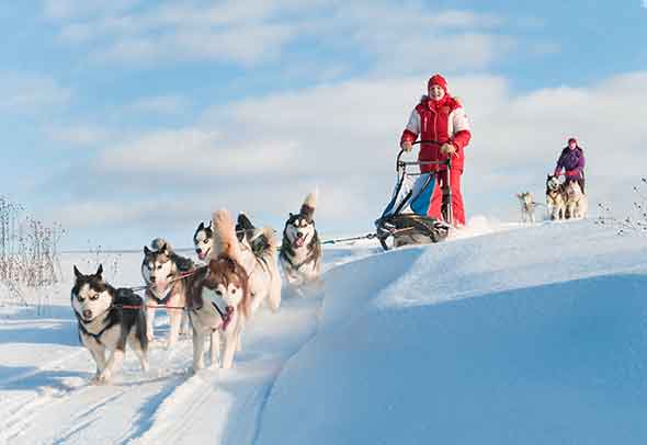 Churchill Dog Sleddign Adventures